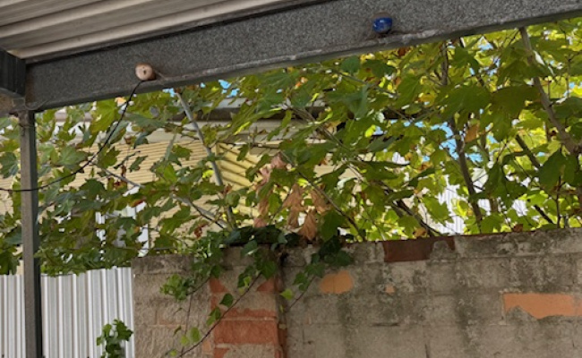 Rosewater - Safe Carport near Bus Stops for Boat or Car Parking/Storage