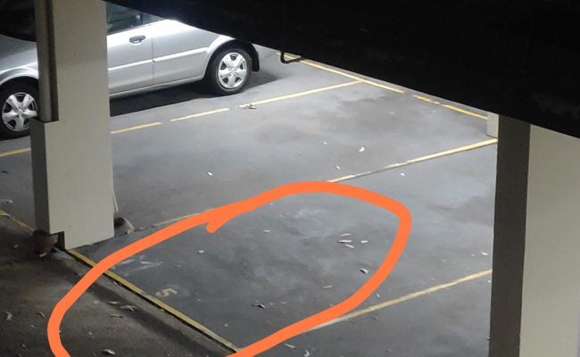 Parking slot in apartment ..near fontenoy park