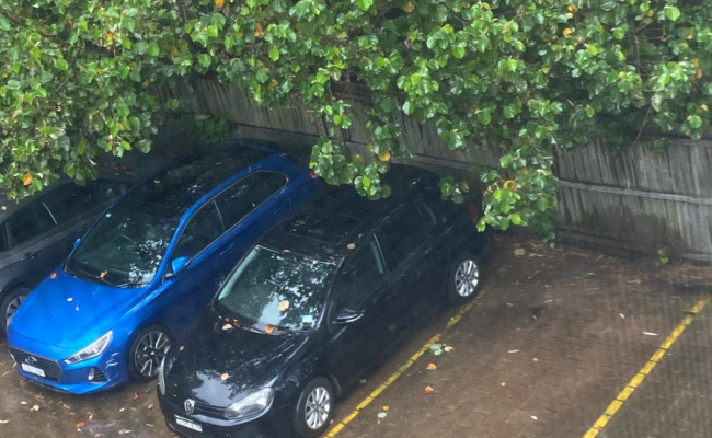 5 mins walk to Edgecliff Station & Five Ways Paddington