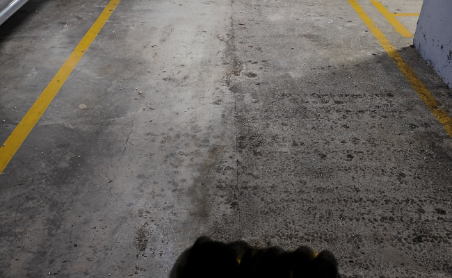 Mascot secure underground parking near train st. And bus stop