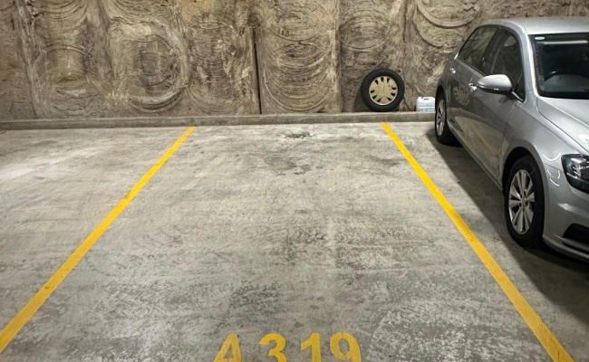 Secured Parking for rent in Lamond Lane Zetland