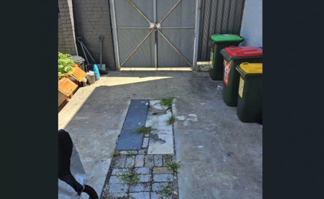 Glebe -Safe Driveway Parking close to Tramsheds #1