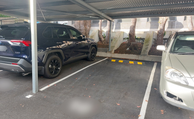 Greenwich - Great Carport Parking Near RNSH