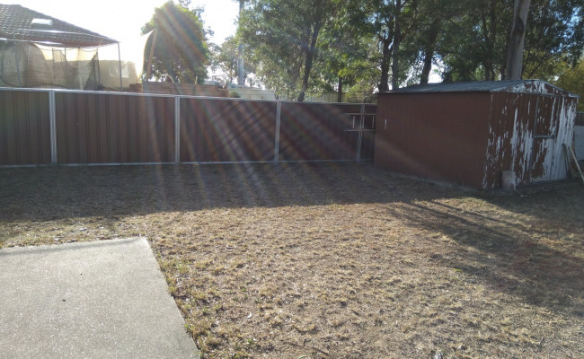 Backyard storage behind gate