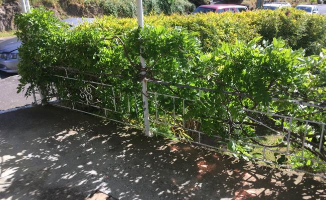 Undercover green leafy carport w/view-quiet street