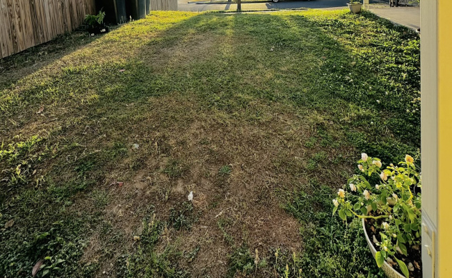 Front Yard Parking Space 24/7 Access (Moorooka)