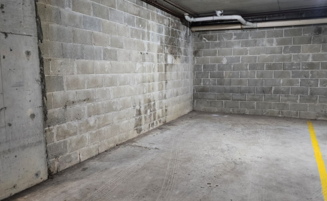 Indoor Car space for rent at Forest Lodge