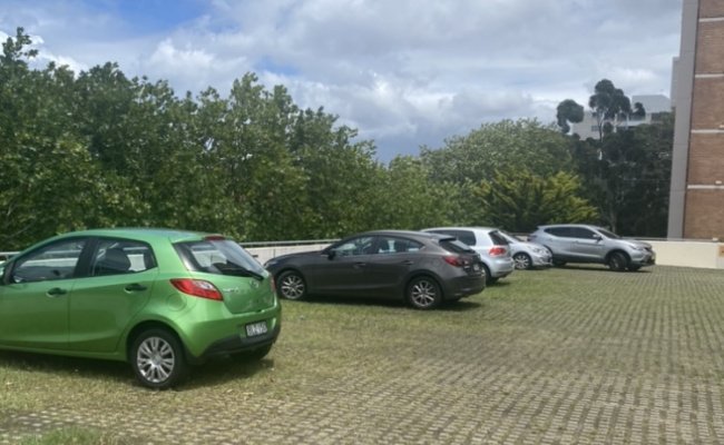 Randwick - Rooftop Car Space near Fred Hollows Reserve