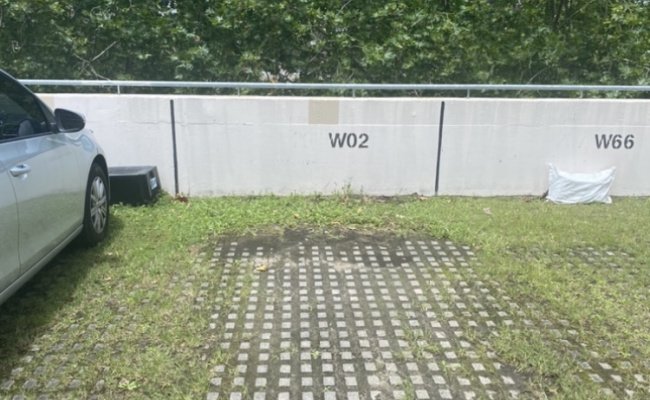 Randwick - Rooftop Car Space near Fred Hollows Reserve