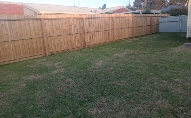 Shed Carport undercover 26x3.5 meters undercover 5x3.5 not 31x3.5 hight max 2.065mm OPEN space 17x4m