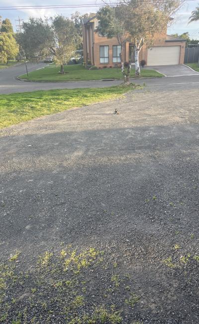 Next to Lurnea Public School