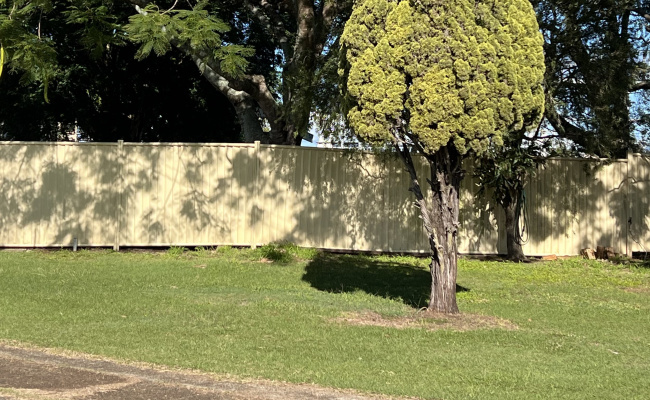 Large gated parking - Near Ferny Grove and Airport train - PLUS 130 and 140 bus