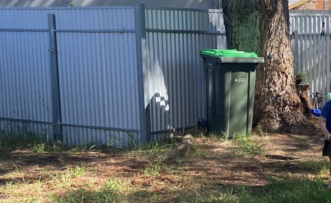 Backyard , grass car park