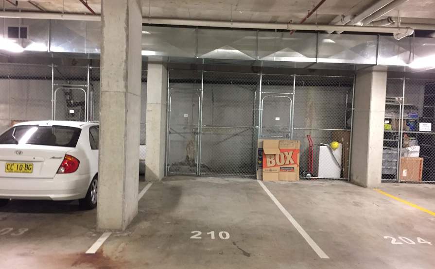 Parking spot in gated garage PLUS storage cage