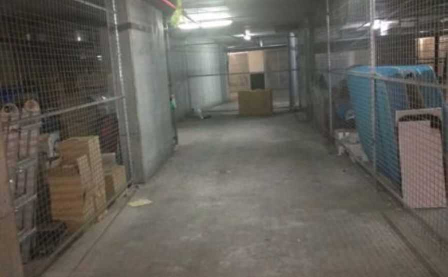 Strathfield - Tandem Garage for Parking/Storage near Station and Plaza